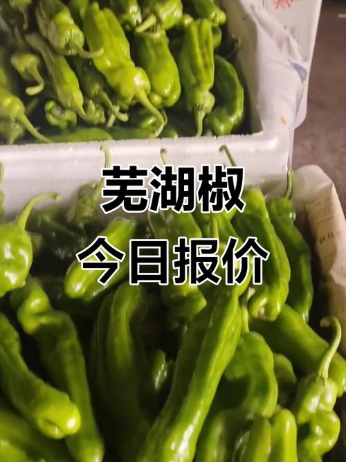 2025干辣椒行情如何?价格会涨还是跌?-图2 2025干辣椒行情如何?价格会涨还是跌?-图2