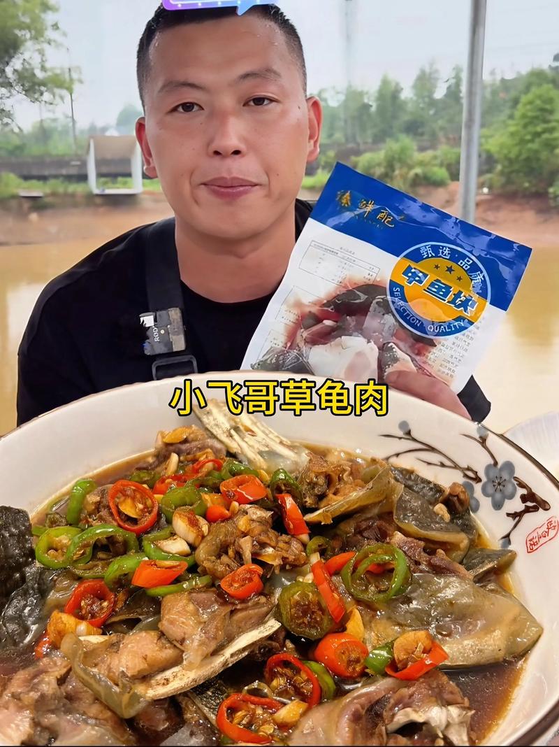 2025年野生草龟价格会涨还是跌？-图2