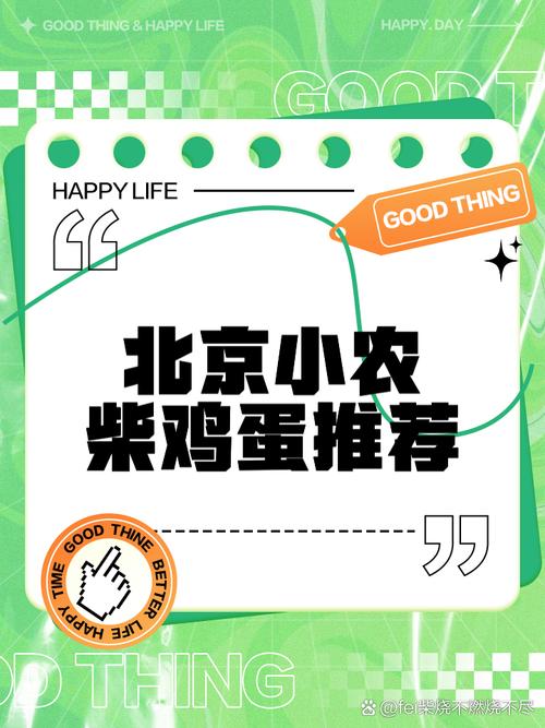 北京柴鸡蛋今日价多少钱一斤?-图3 北京柴鸡蛋今日价多少钱一斤?-图3