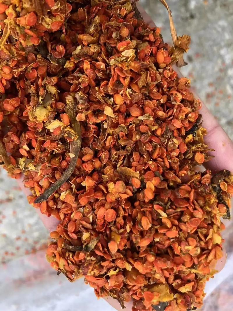 酒糟的养殖方法和技术-图3