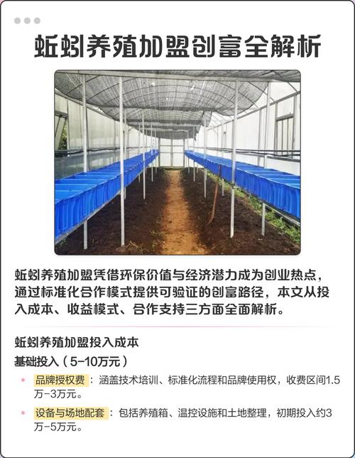 蚯蚓养殖技术有哪些关键要点?-图2 蚯蚓养殖技术有哪些关键要点?-图2