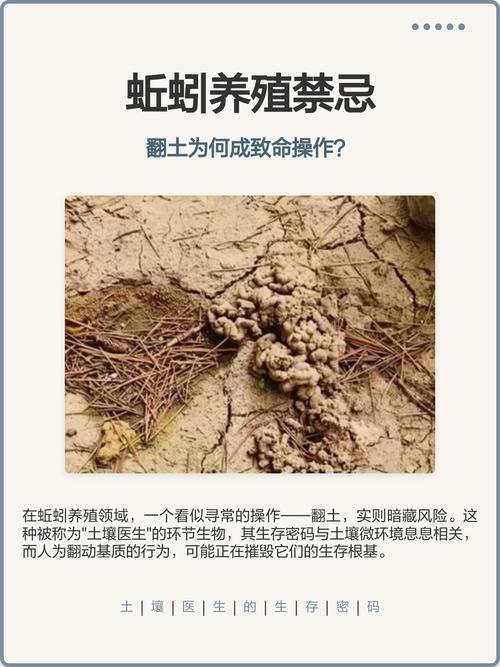 蚯蚓养殖技术有哪些关键要点?-图3 蚯蚓养殖技术有哪些关键要点?-图3