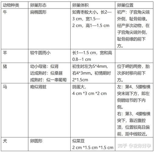 牛胚胎移植技术究竟有何重大意义？-图1