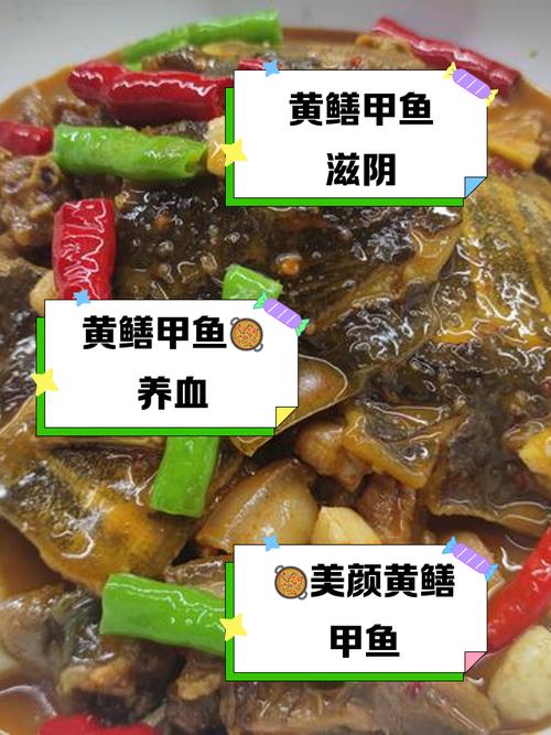 甲鱼鳝鱼混养,如何实现互利共生?-图3 甲鱼鳝鱼混养,如何实现互利共生?-图3