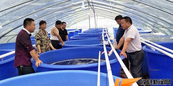 南美白虾养殖如何高效淡化?-图2 南美白虾养殖如何高效淡化?-图2