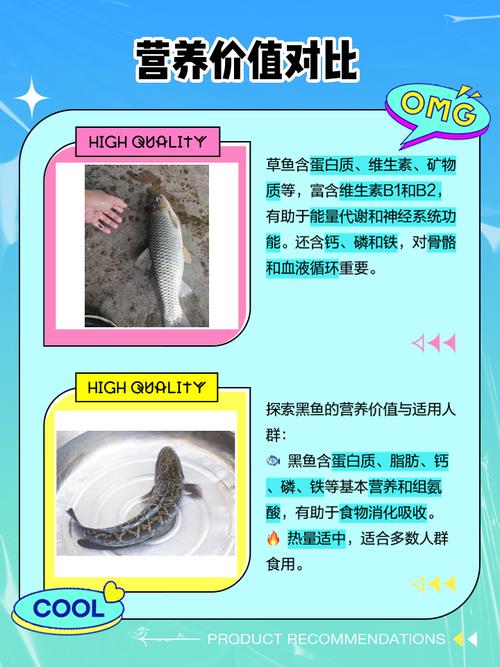 黑鱼草鱼混养，如何平衡生长与效益？-图3