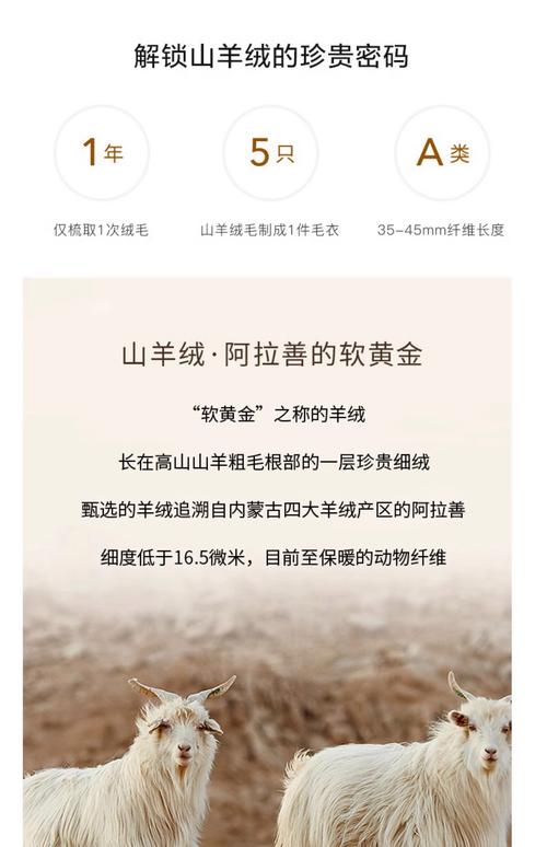 2025山羊绒价格行情-图2