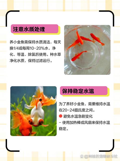 福寿鱼养殖关键技术有哪些？-图1