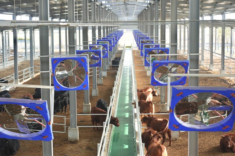 中国最先进养殖技术有多强?-图1 中国最先进养殖技术有多强?-图1