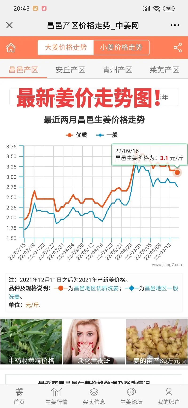 2025年大姜价格会涨还是会跌?-图1 2025年大姜价格会涨还是会跌?-图1