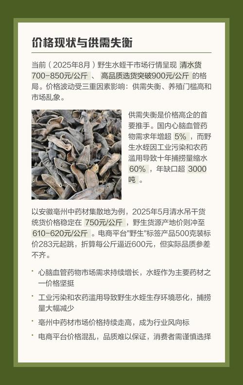 水蛭2025年干货价格-图1 水蛭2025年干货价格-图1