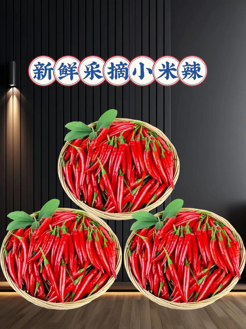 小米辣品种到底有哪些?-图1 小米辣品种到底有哪些?-图1