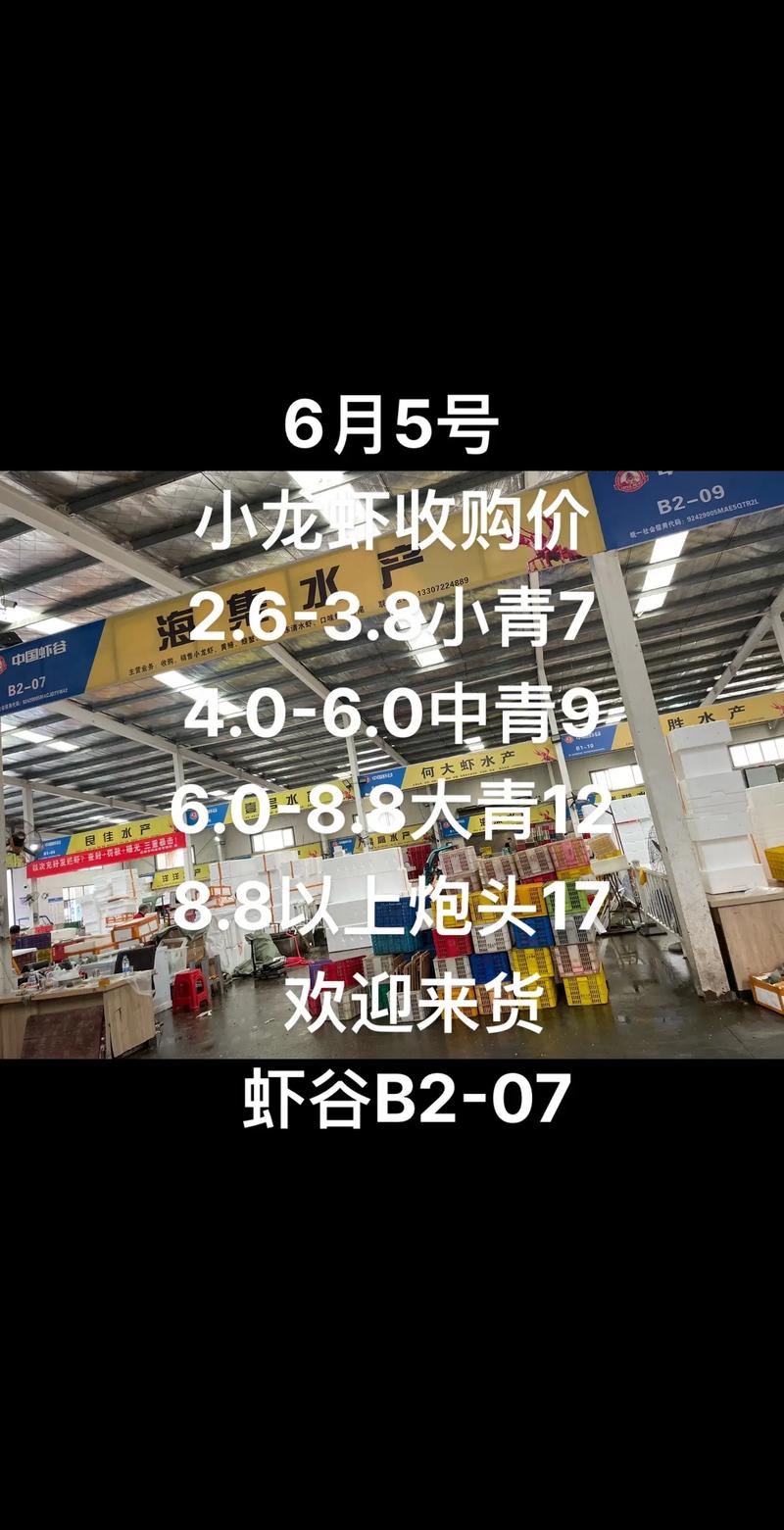 2025山东小龙虾价格会涨还是跌?-图3 2025山东小龙虾价格会涨还是跌?-图3