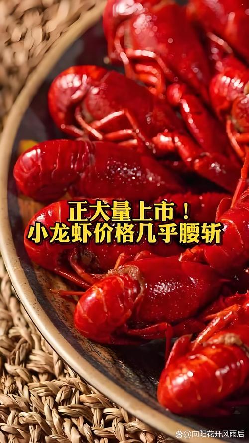 2025山东小龙虾价格会涨还是跌?-图2 2025山东小龙虾价格会涨还是跌?-图2