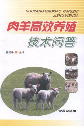 农区养羊有哪些关键技术?-图1 农区养羊有哪些关键技术?-图1