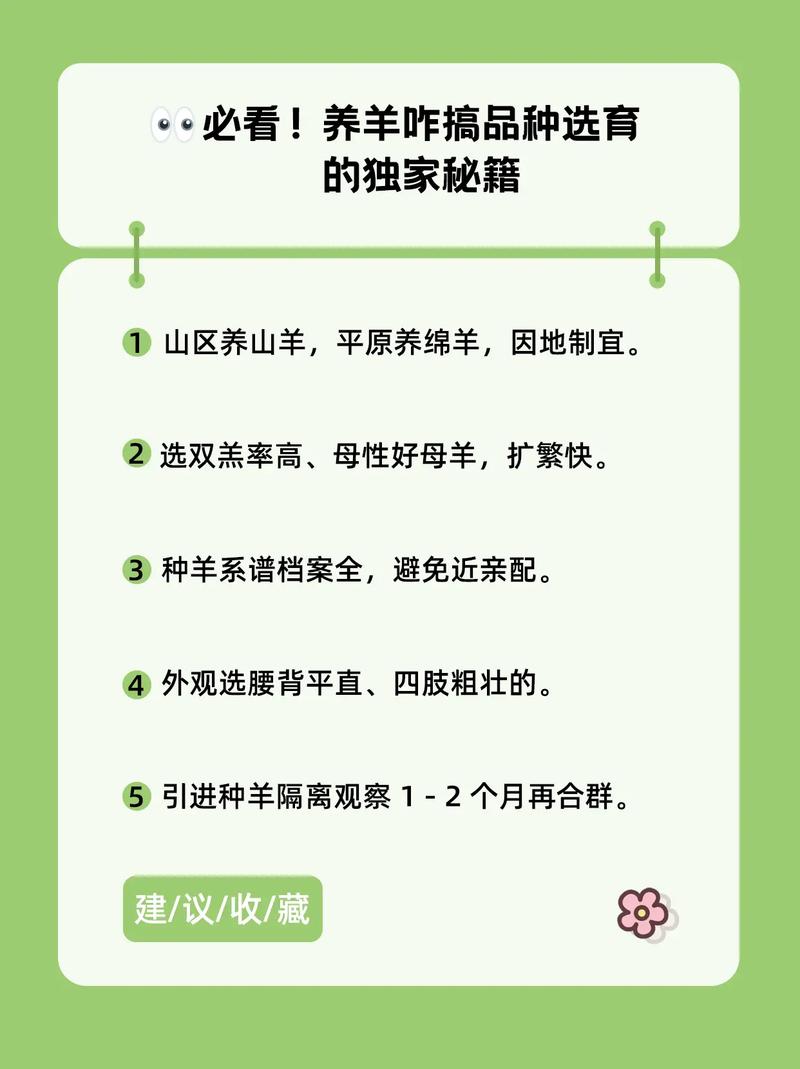 农区养羊有哪些关键技术?-图2 农区养羊有哪些关键技术?-图2