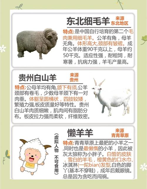 农区养羊有哪些关键技术?-图3 农区养羊有哪些关键技术?-图3