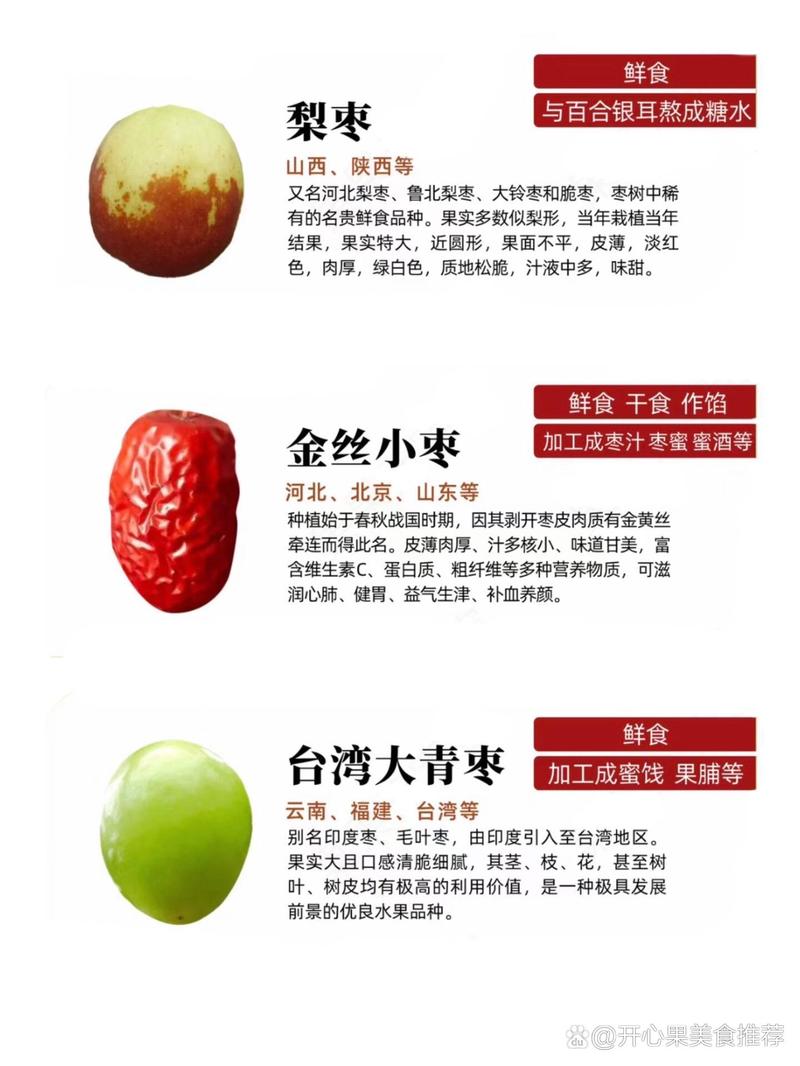 大王枣和梨枣,哪个品种更好?-图1 大王枣和梨枣,哪个品种更好?-图1