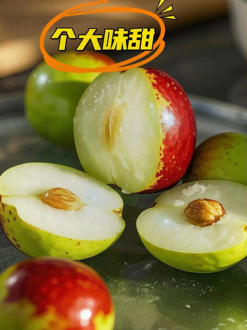 大王枣和梨枣,哪个品种更好?-图3 大王枣和梨枣,哪个品种更好?-图3