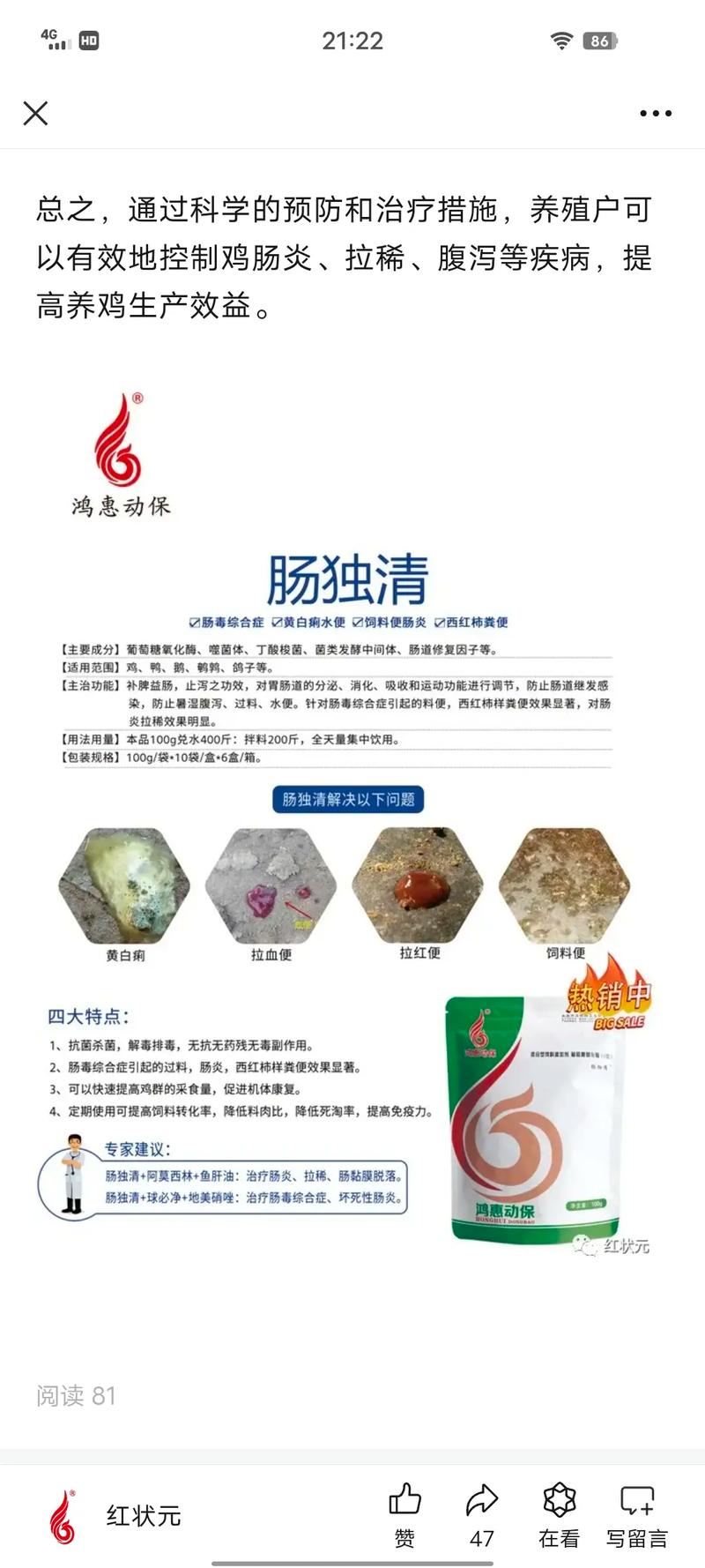 养鸡技术方法大全，哪些要点最关键？-图2