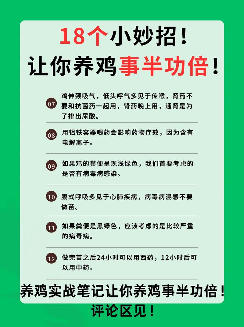 养鸡技术方法大全，哪些要点最关键？-图1