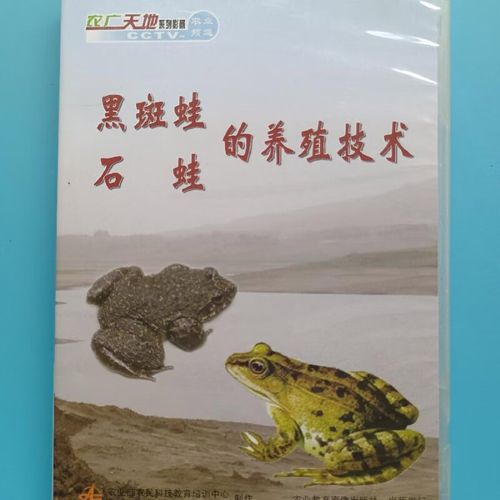 青蛙养殖技术农广天地,关键要点有哪些?-图2 青蛙养殖技术农广天地,关键要点有哪些?-图2