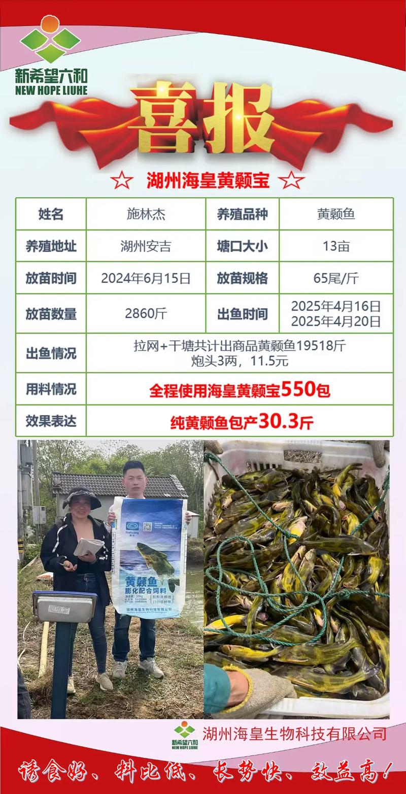 2025年黄颡鱼价格行情会涨还是会跌?-图1 2025年黄颡鱼价格行情会涨还是会跌?-图1