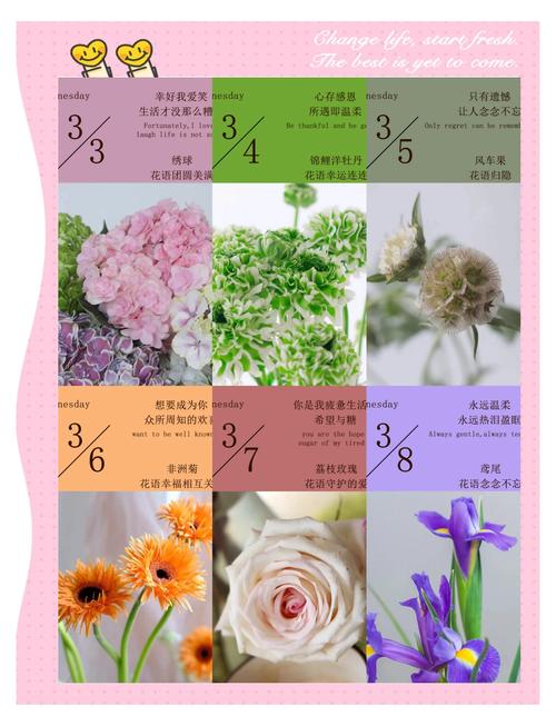 花的品种与开放日期有何关联？-图1