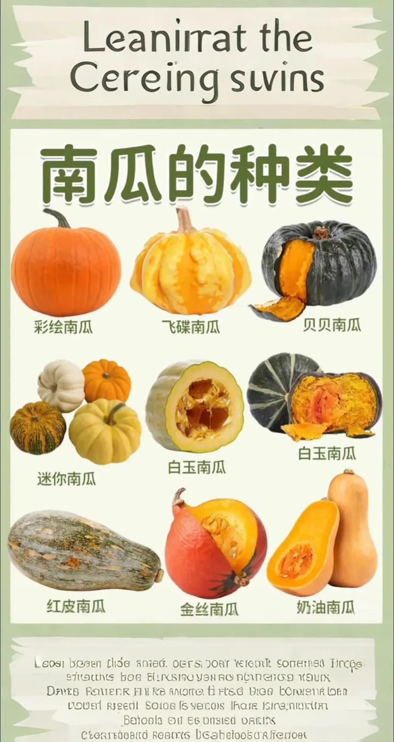 哪些南瓜品种营养价值最高?-图1 哪些南瓜品种营养价值最高?-图1