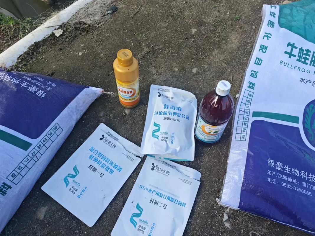 有机水稻如何与蛙鳖共生养殖？-图2