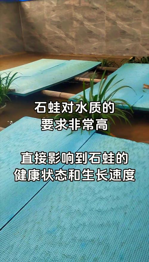 生态循环石蛙养殖技术-图2 生态循环石蛙养殖技术-图2