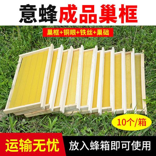 巢基制作技术视频，新手如何快速上手？-图2