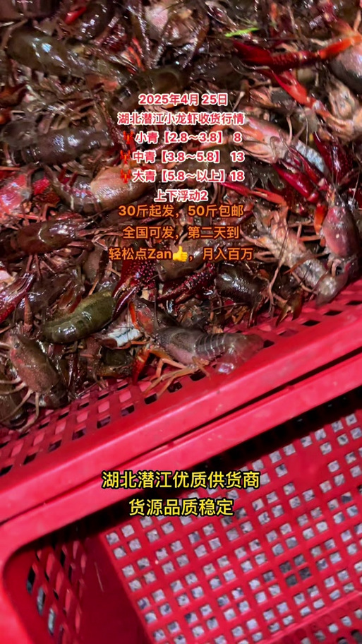 2025小龙虾批发价格会涨还是会跌?-图1 2025小龙虾批发价格会涨还是会跌?-图1