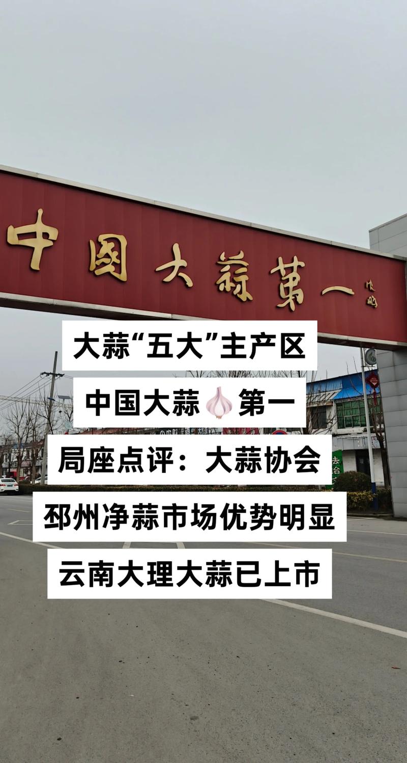 2025年6月大蒜价格会涨还是跌?-图2 2025年6月大蒜价格会涨还是跌?-图2