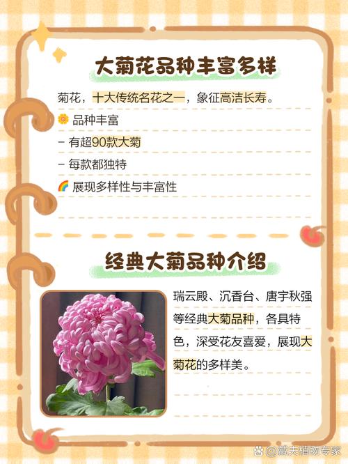 菊花品种数量真居植物之首吗?-图3 菊花品种数量真居植物之首吗?-图3