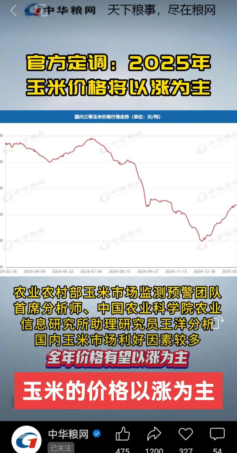 2025玉米价格会涨还是会跌?-图1 2025玉米价格会涨还是会跌?-图1