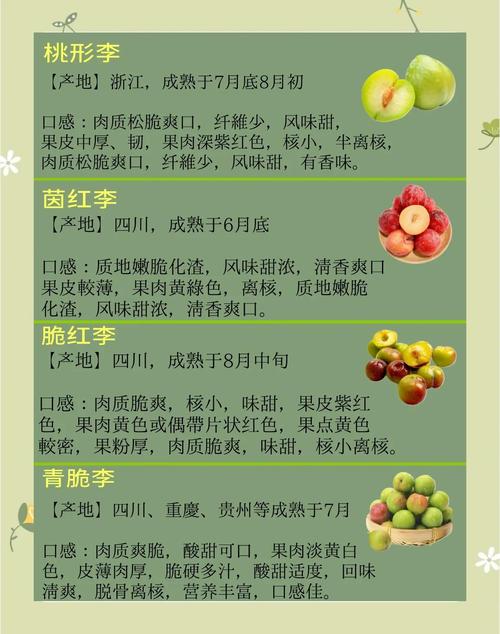 当前有哪些最新李子新品种？-图1