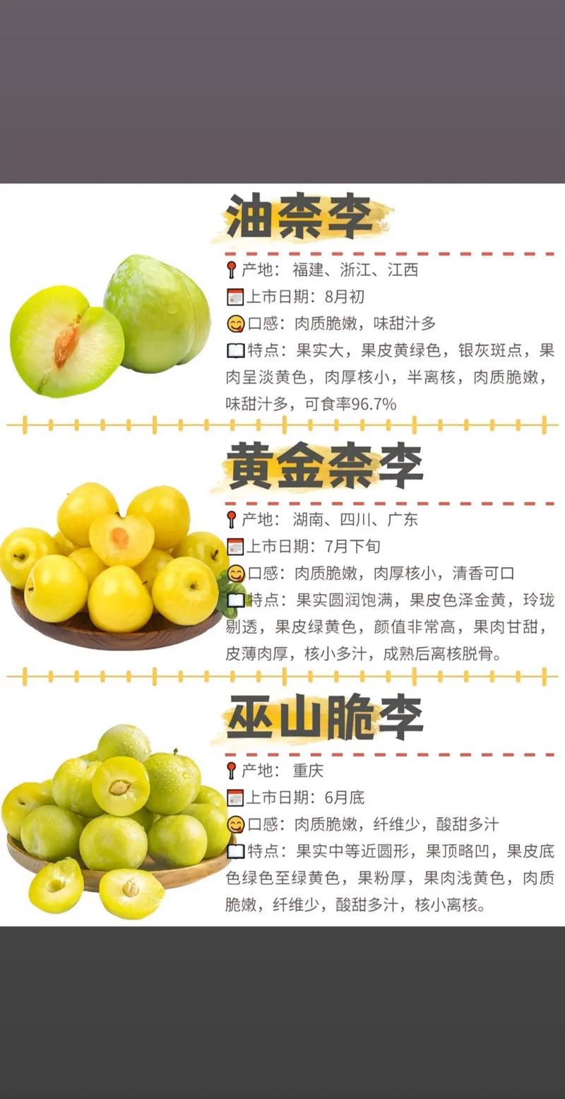 当前有哪些最新李子新品种？-图2