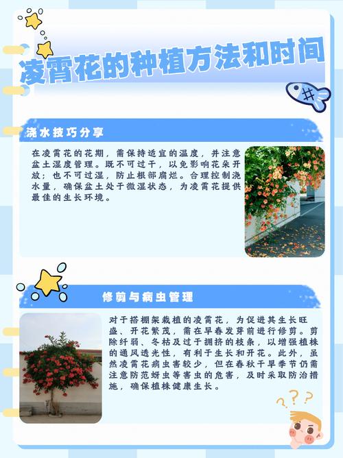 花卉养殖技术有哪些关键要点？-图2