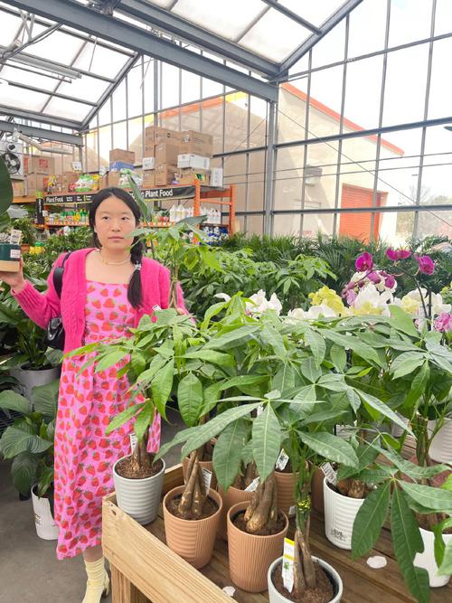 花卉养殖技术有哪些关键要点?-图1 花卉养殖技术有哪些关键要点?-图1