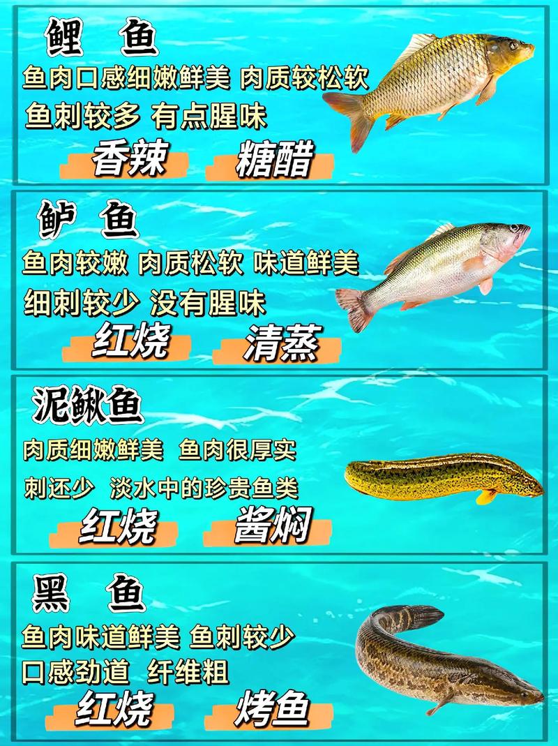 哪些淡水热带鱼能吃?-图2 哪些淡水热带鱼能吃?-图2