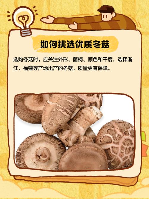 冬季香菇出菇管理有哪些关键技术?-图2 冬季香菇出菇管理有哪些关键技术?-图2