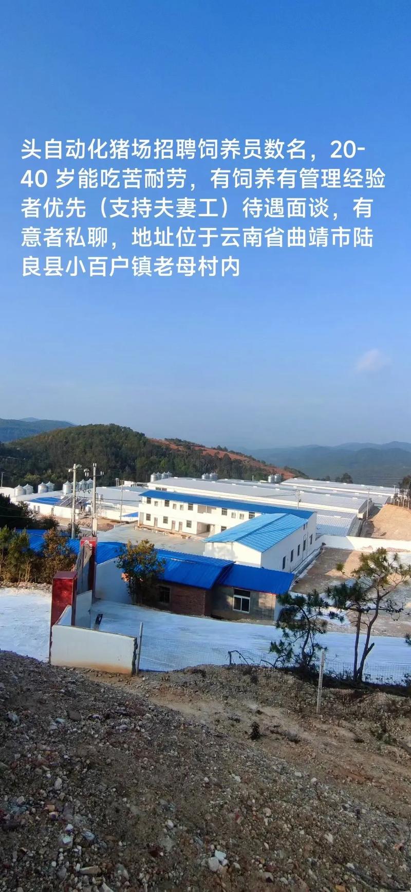 绵阳养殖技术岗招啥样?要求多少?-图1 绵阳养殖技术岗招啥样?要求多少?-图1