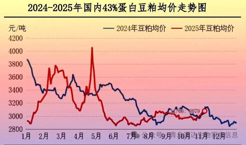 2025鸡肉价格走势图-图2 2025鸡肉价格走势图-图2