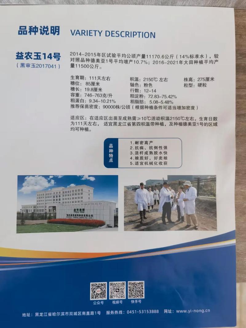 益农玉玉米品种有哪些-图1 益农玉玉米品种有哪些-图1