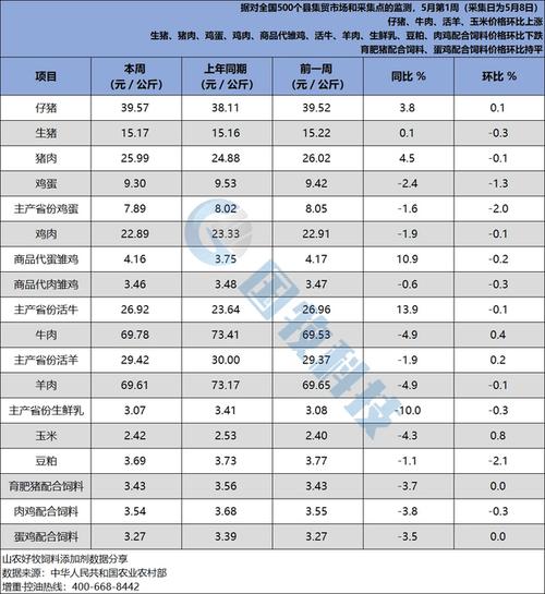 2025年新疆羊肉价格会涨还是会跌？-图2
