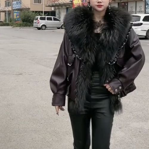 2025年貉皮价格会涨还是跌?-图2 2025年貉皮价格会涨还是跌?-图2