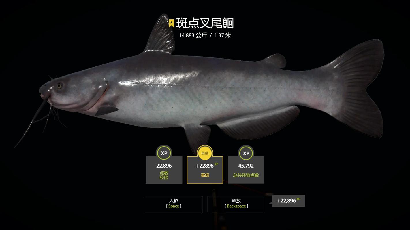 2025斑点叉尾鮰价格会涨还是跌?-图1 2025斑点叉尾鮰价格会涨还是跌?-图1