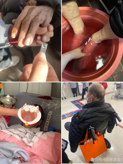 泥鳅打催产针技术视频怎么操作？-图3