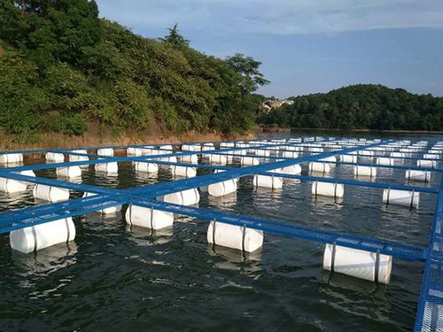 山东淡水网箱养殖技术-图3